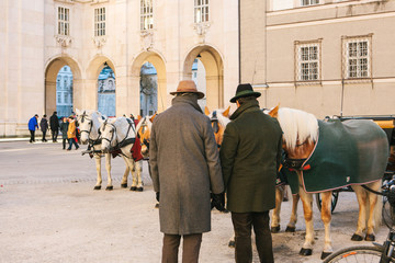 Horse. Entertainment of tourists (horseback riding) in the Austrian city of Salzburg - hometown of Mozart. Vacation, holidays, attractions.