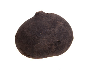 Radish
