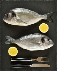 Two ready to cook raw bream fish with fork, knife and lemon on stone slate board. With copy space. Top view.