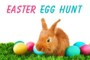 Cute funny rabbit and colorful eggs on green grass against white background