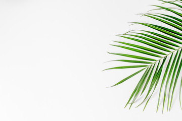 Naklejka premium spring with morden herbal mockup on white background top view