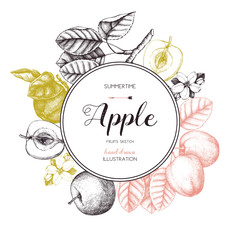 Vintage card design with apple fruits sketch.