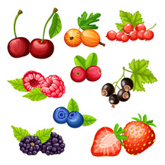 Fototapeta na wymiar Colorful Cartoon Berries Icons Collection