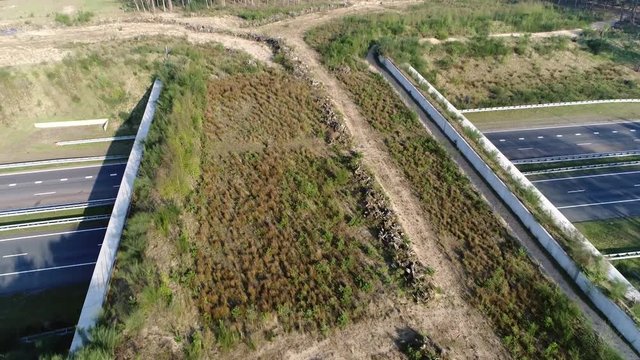 Aerial bird view flying over wildlife crossing camere panning down focussing on animal overpass showing highway and traffic driving fast underneath it and on crossing showing all kind of vegetation 4k