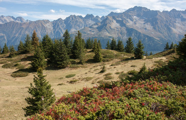 Fototapeta premium Belledonne depuis le Crêt du Poulet