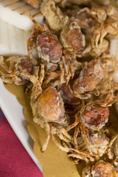 italian gastronomic Specialities, moleca little crab fried, Specialities of chioggia, venice italy