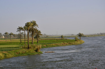 Fototapeta na wymiar Flusslandschaft im Niltal zwischen Kairo und Beni Suef