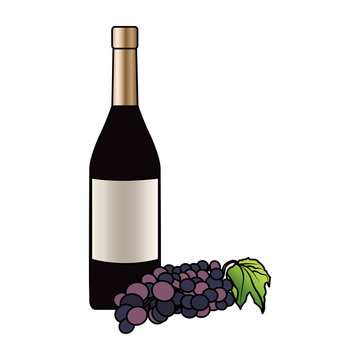 wine bottle and grapes icon image vector illustration design 