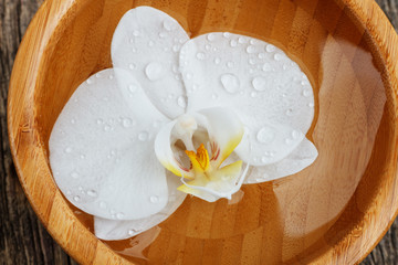 White orchid floating in bamboo bowl