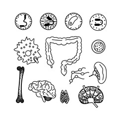 immune system icon set