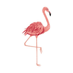 flamingo bird icon image vector illustration design 