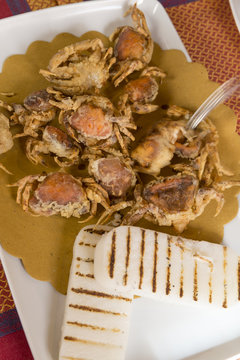 italian gastronomic Specialities, moleca little crab fried, Specialities of chioggia, venice italy