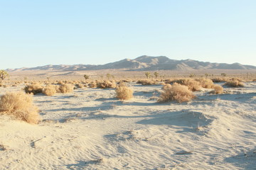 Mirage Lake views