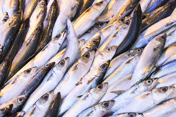Fototapeta premium Background of sea fish close-up on the market in the port