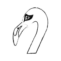 flamingo bird icon image vector illustration design 