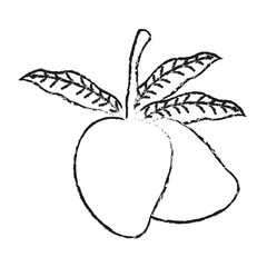 mango fruit icon image vector illustration design 