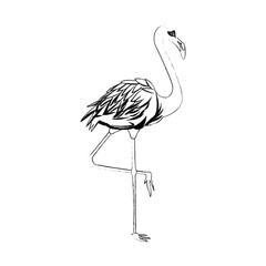 flamingo bird icon image vector illustration design 