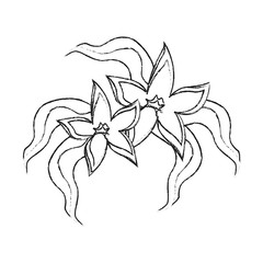 delicate flower icon image vector illustration design 