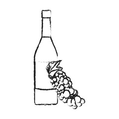 wine bottle and grapes icon image vector illustration design 