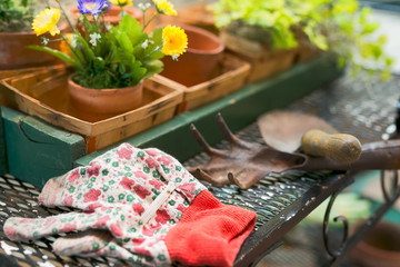 Gadering Tools on Bench