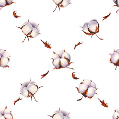 Watercolor cotton flowers seamless pattern on white background