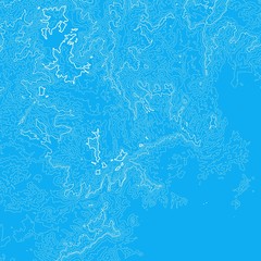 Vector abstract blue earth relief map. Generated conceptual elevation map. Isolines of landscape surface elevation. Geographic map conceptual design. Elegant background for presentations.