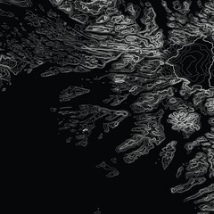 Vector abstract grayscale earth relief map. Generated conceptual elevation map. Isolines of landscape surface elevation. Geographic map conceptual design. Elegant background for presentations.