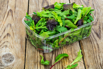 Healthy eating of arugula, mitsuna, chard, red mustard in plasti