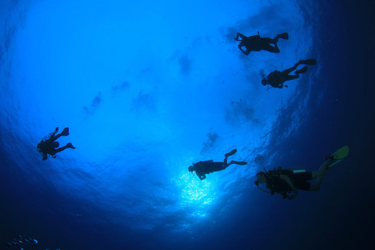 Scuba dive. Underwater group of scuba divers in sea