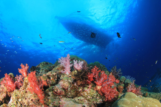 Scuba dive boat above ocean coral reef