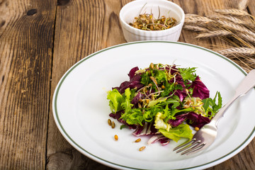 Salad with sprouts of rye