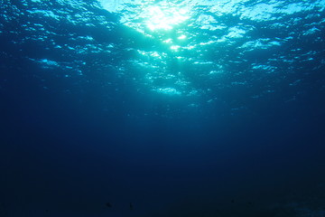 Fototapeta na wymiar Underwater blue ocean background