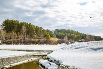 Spring melting of ice on the river. Siberia, Russia