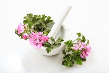 Citronella in a mortar on white background