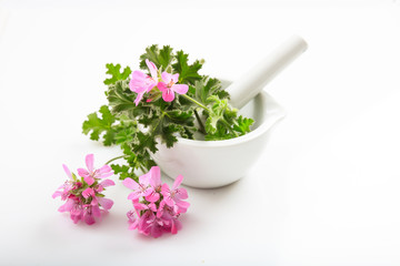 Alternative medicine concept - Citronella in a mortar on white background