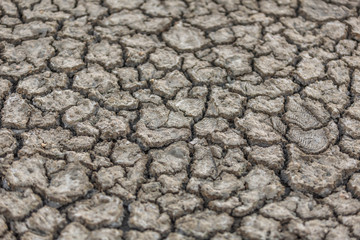 Foot prints on cracked earth