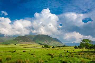 Green meadow and mountain in District Lake, England