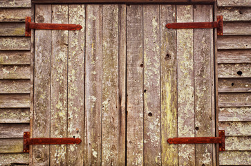 Four large rusted industrial hinges on a set of double doors of old weathered vertical wood planks with paint peeled off