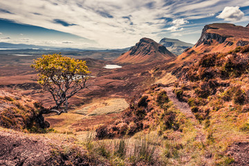Naklejka premium Quiraing in Isle of Skye in summer, Scotland, United Kingdom
