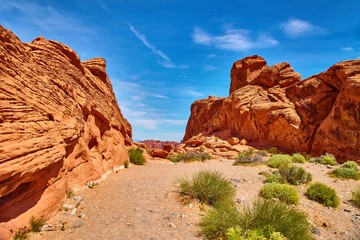 Fototapeta premium Incredibly beautiful landscape in Southern Nevada, Valley of Fire State Park, USA.