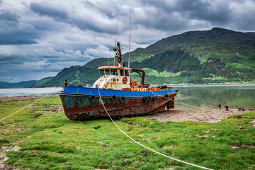 Rusty shipwreck on shore in summer, Scotland, UK