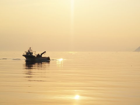 噴火湾風景　夕日に浮かぶ漁船
