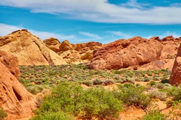 Fototapeta premium Incredibly beautiful landscape in Southern Nevada, Valley of Fire State Park, USA.