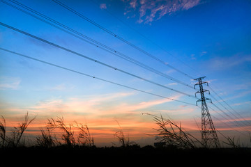 Sunset light morning