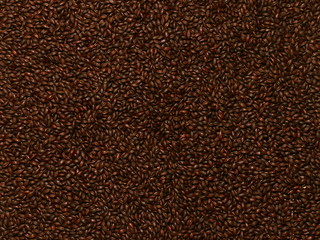 Fototapeta premium Chocolate Malted Barley