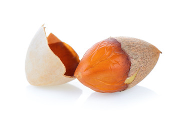 Ginkgo seeds on white background