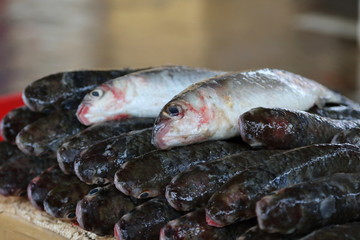 Lellama Fish Market 4
