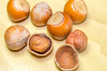 Nuts filberts isolated on white background.
