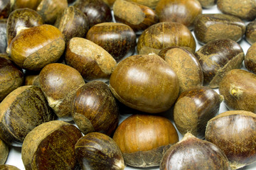 Chestnuts isolated on white background