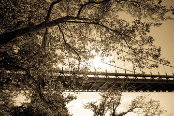 Triborough bridge behind the tree in vintage sepia style, New York